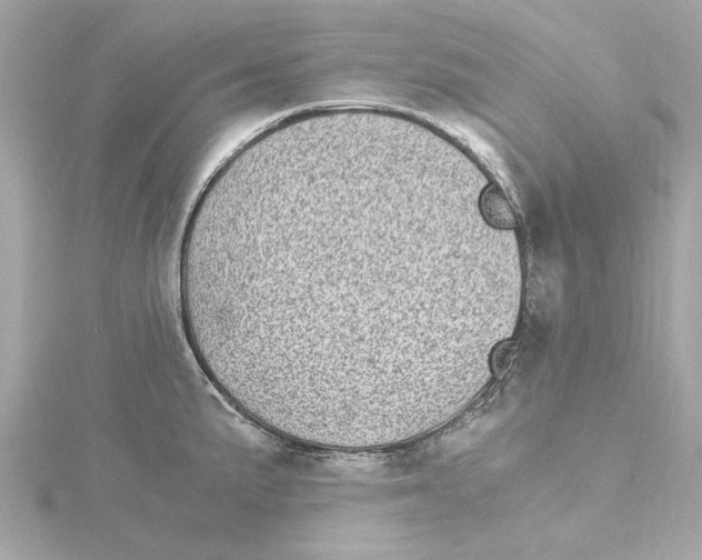 X0000115281191200911272000