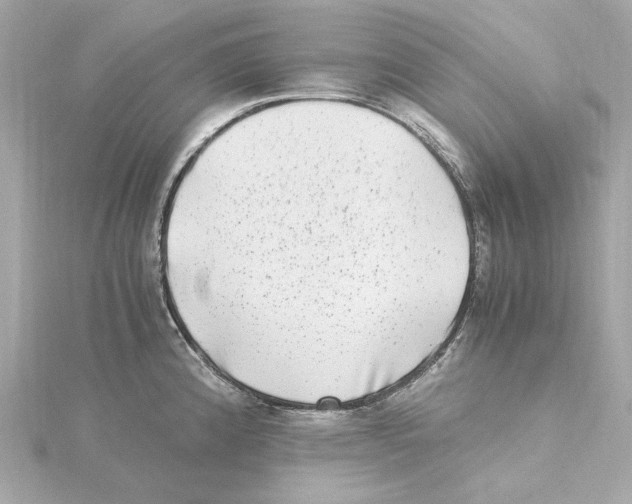 X0000115281192200911272000