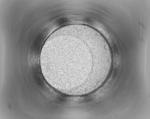 X0000115281193200911272000