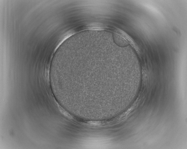 X0000115281194200911272000