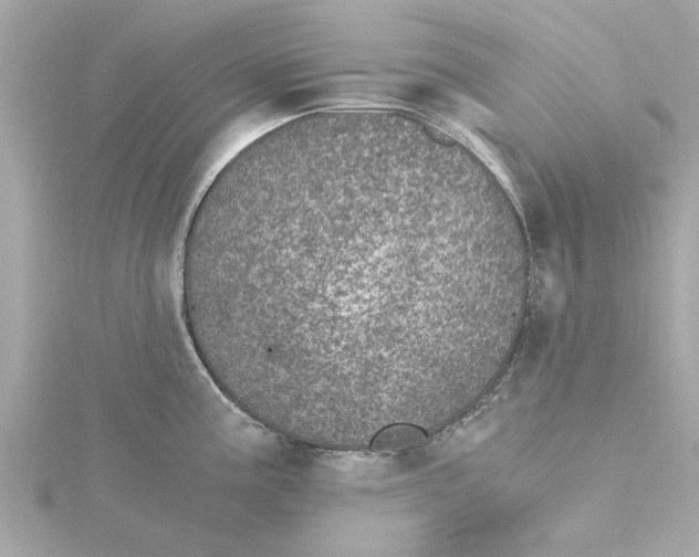 X0000115281195200911272000