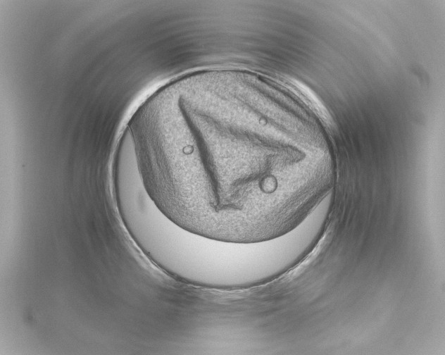 X0000115281196200911272000