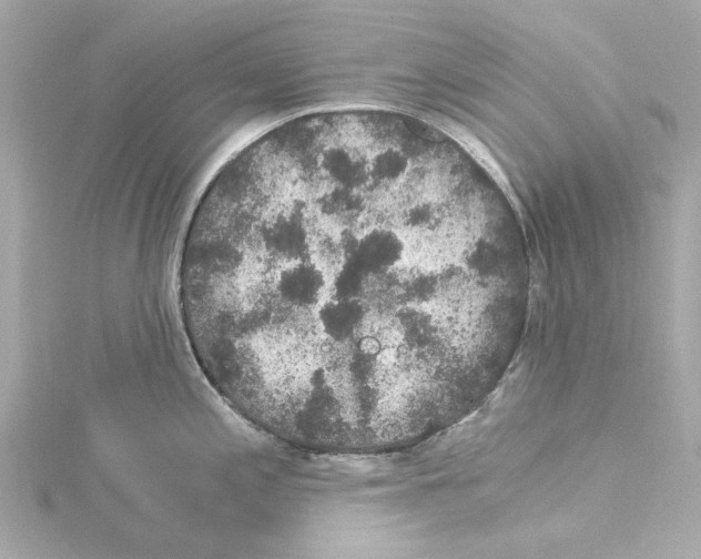 X0000115281197200911272000