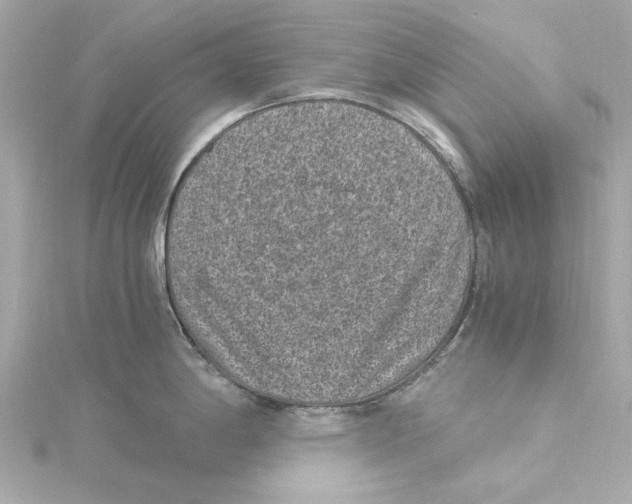 X0000115281198200911272000