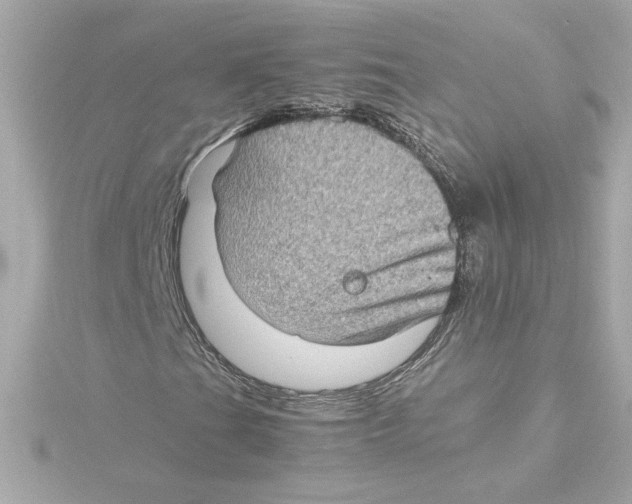 X0000115281201200911271959