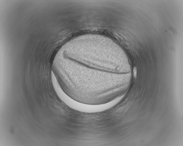 X0000115281203200911271959