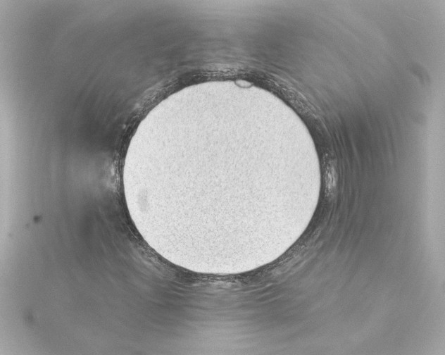 X0000115281204200911271959