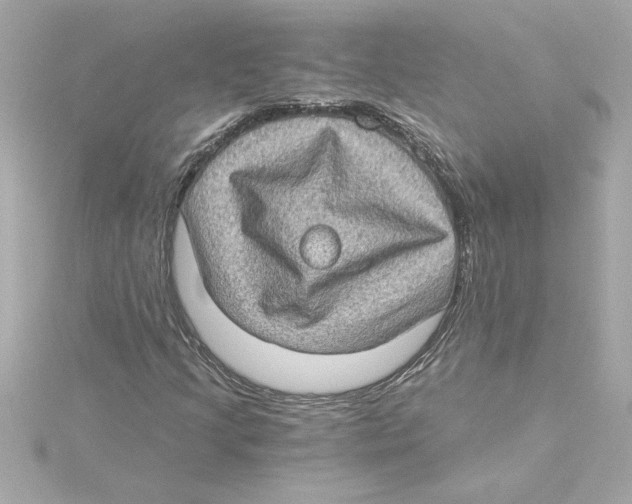 X0000115281205200911271959