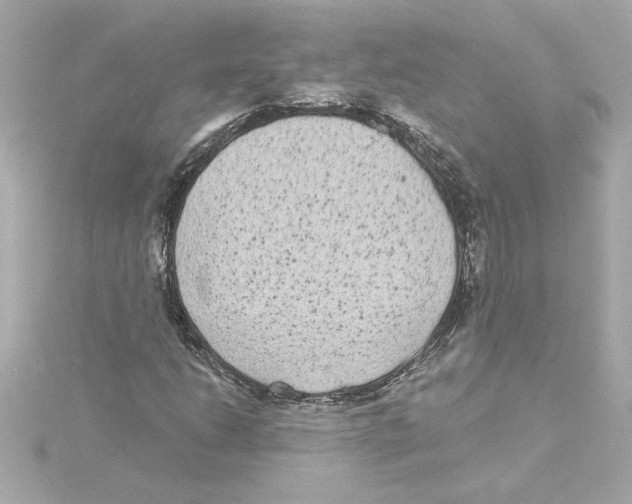 X0000115281206200911271959