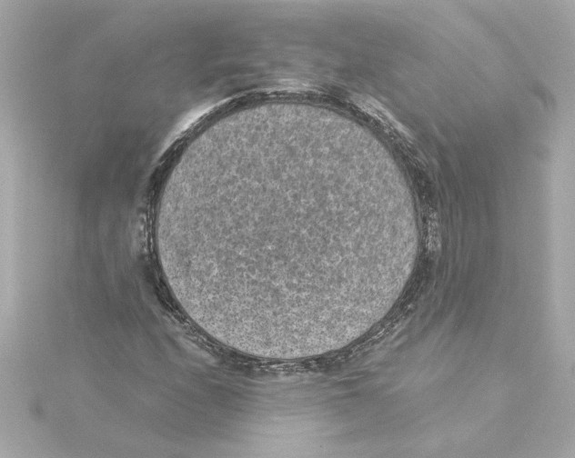 X0000115281208200911271959