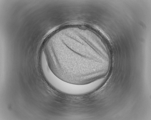 X0000115281213200911271959