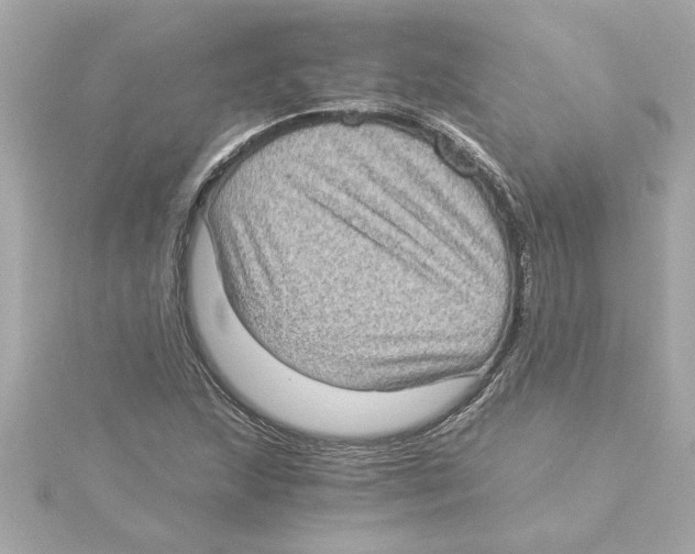 X0000115281215200911271959