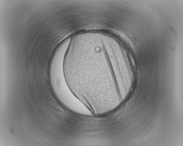 X0000115281217200911271959