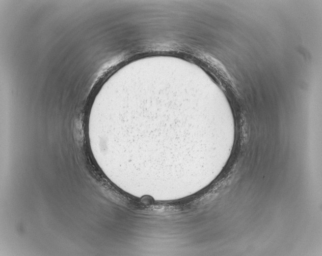 X0000115281218200911271959