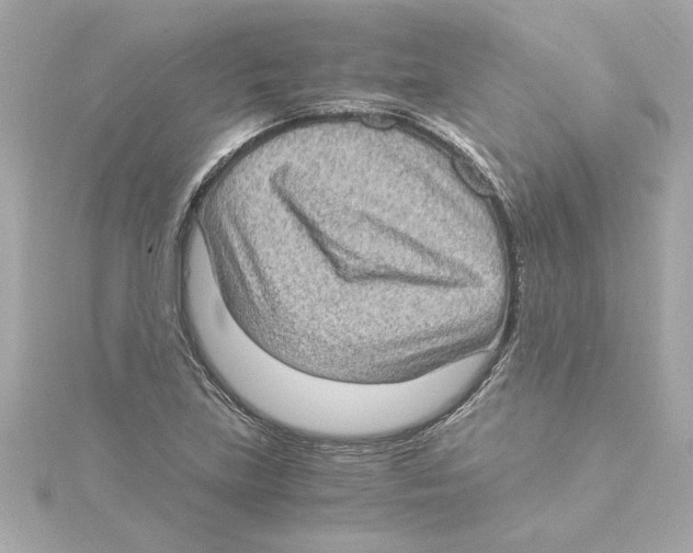 X0000115281219200911271959