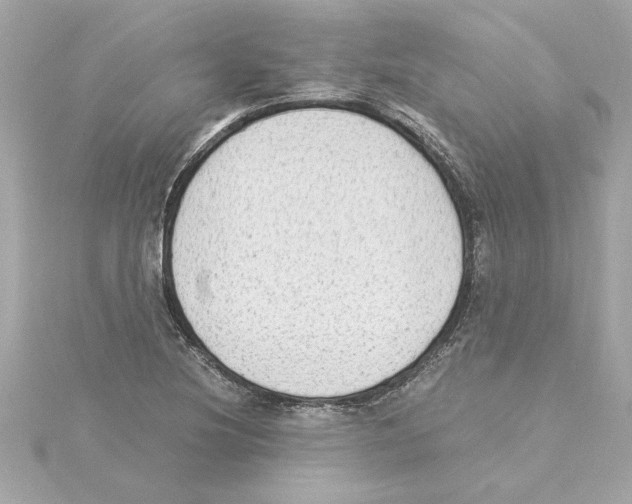 X0000115281220200911271959