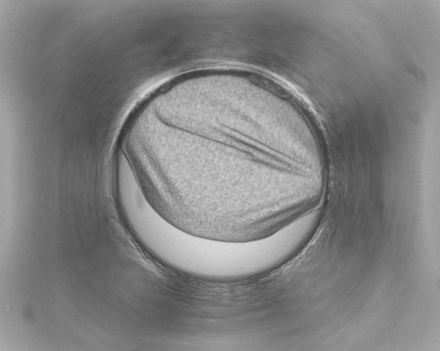 X0000115281223200911272000