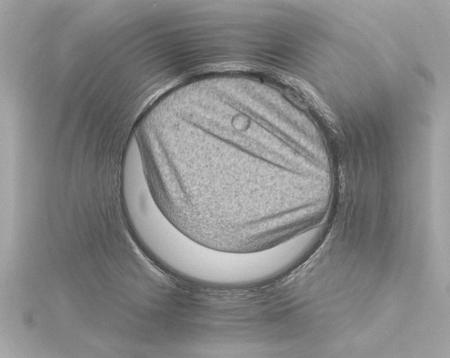 X0000115281225200911272000