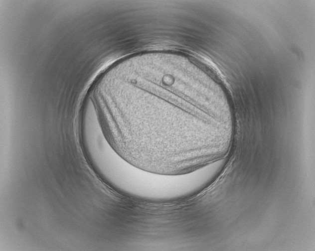 X0000115281227200911272000