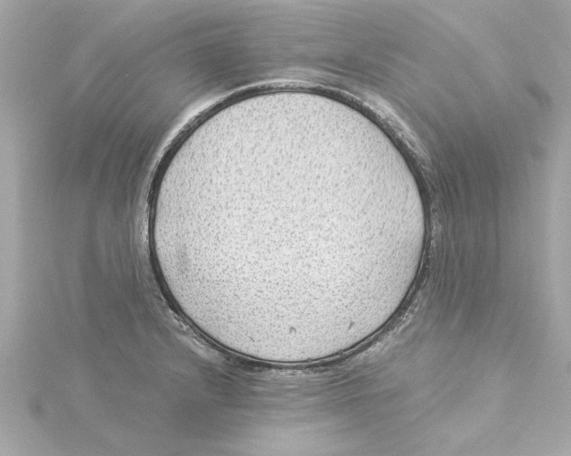 X0000115281232200911272000