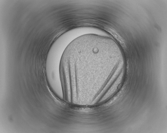 X0000115281233200911272000