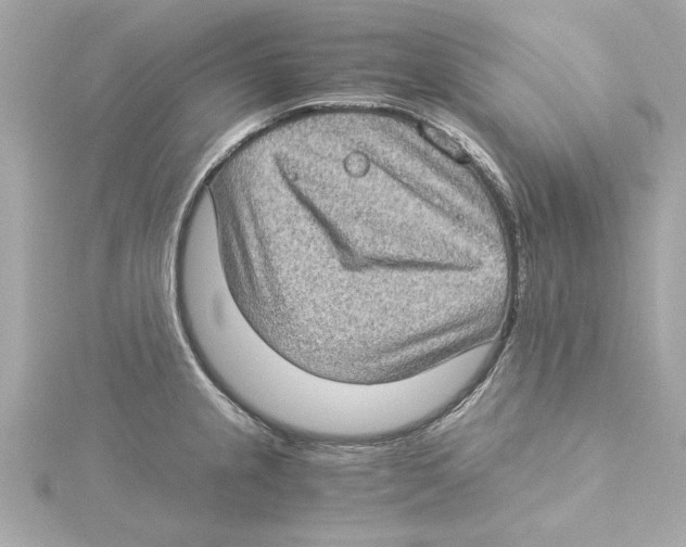 X0000115281237200911272000