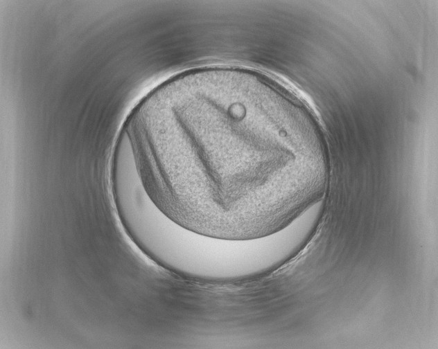 X0000115281239200911272000