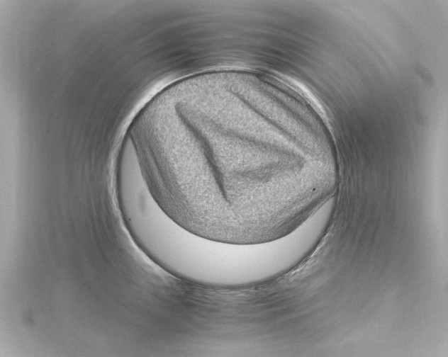 X0000115281243200911272000