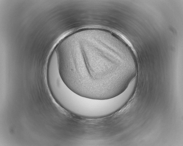 X0000115281245200911272000