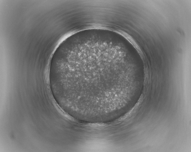 X0000115281246200911272000