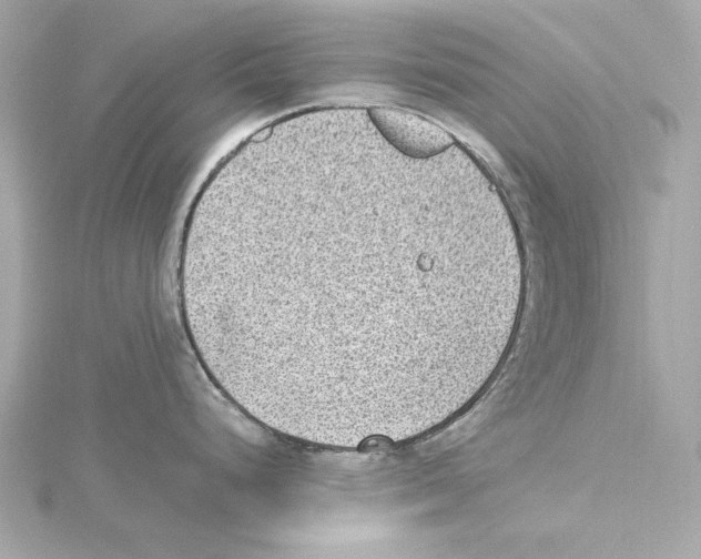 X0000115281248200911272000