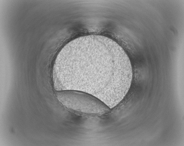 X0000115281249200911271959