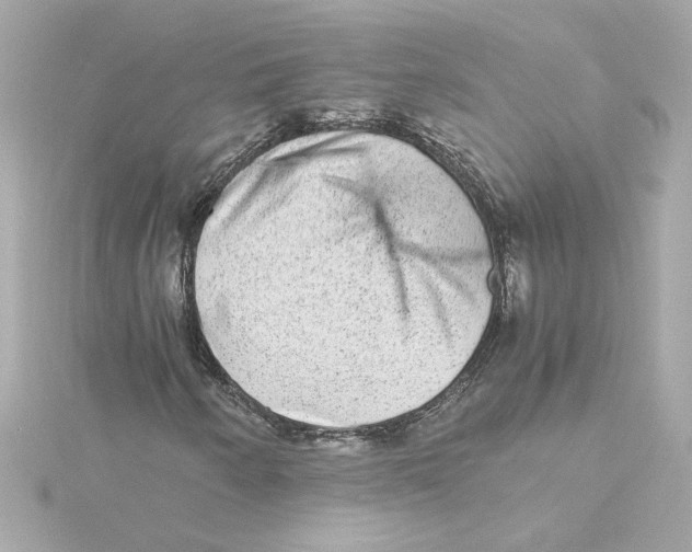 X0000115281250200911271959