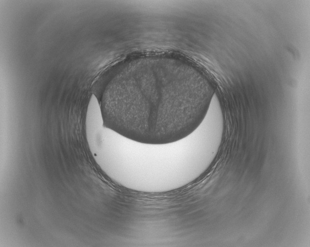 X0000115281252200911271959