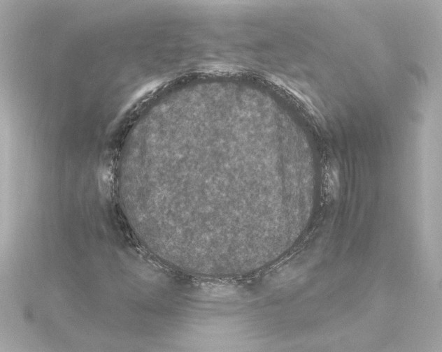 X0000115281254200911271959