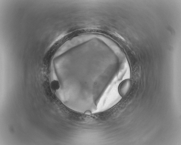 X0000115281255200911271959