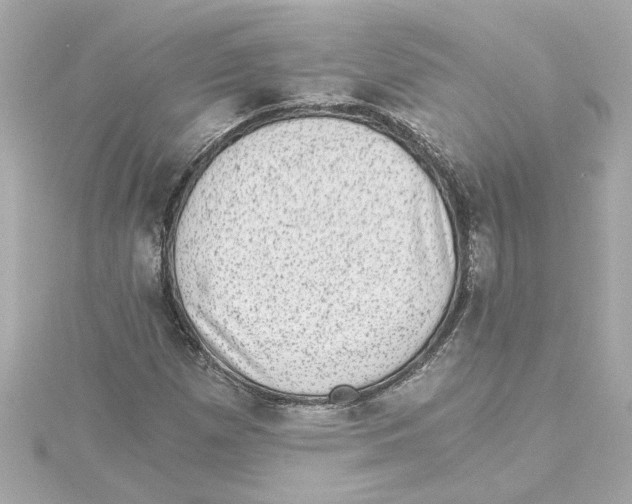 X0000115281257200911271959