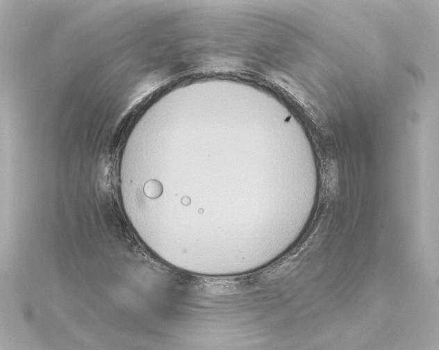 X0000115281258200911271959