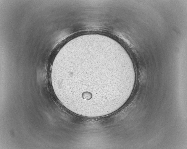 X0000115281259200911271959