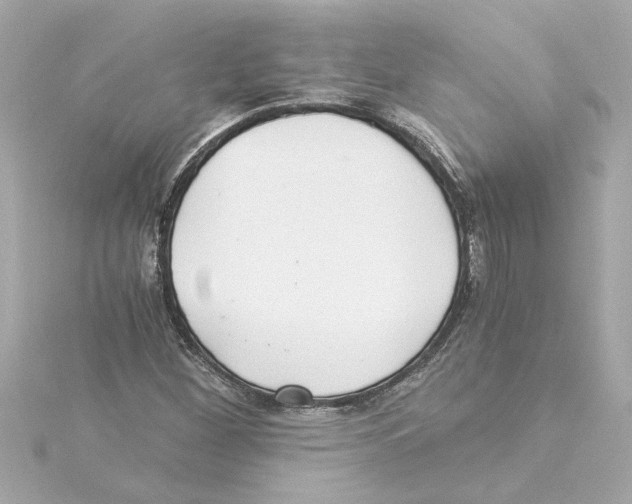 X0000115281260200911271959