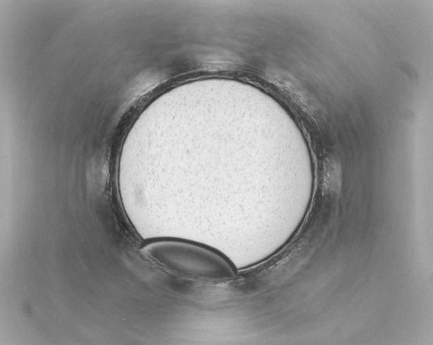 X0000115281261200911271959