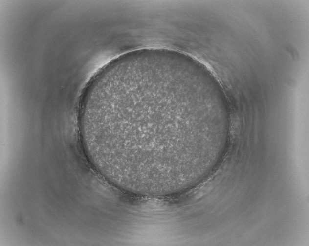 X0000115281263200911271959