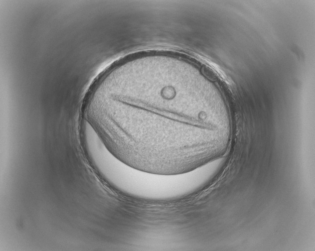 X0000115281264200911271959