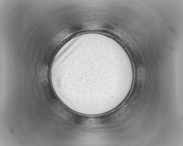 X0000115281265200911271959