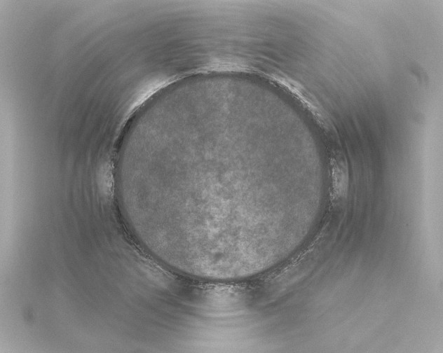 X0000115281266200911271959