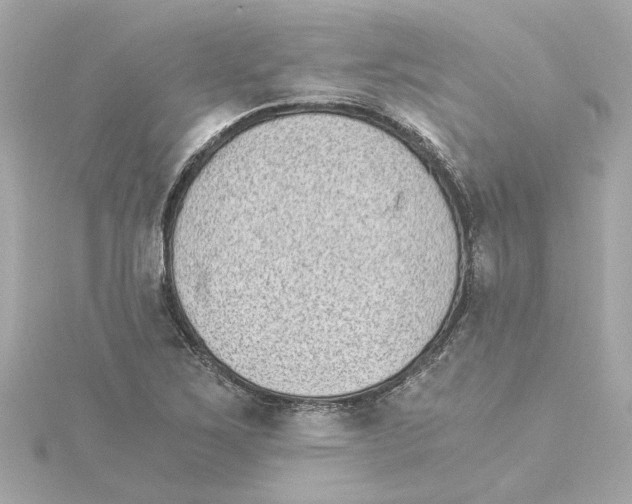 X0000115281267200911271959