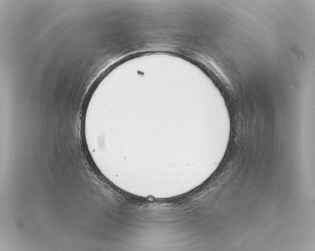 X0000115281268200911271959