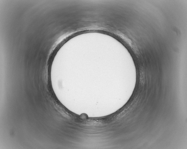 X0000115281270200911271959