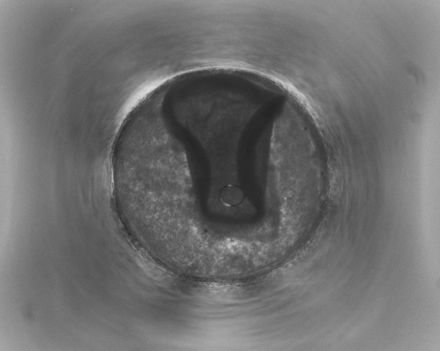 X0000115281271200911271959