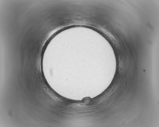 X0000115281272200911271959